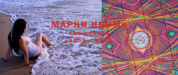 прущие грибы Абдулино