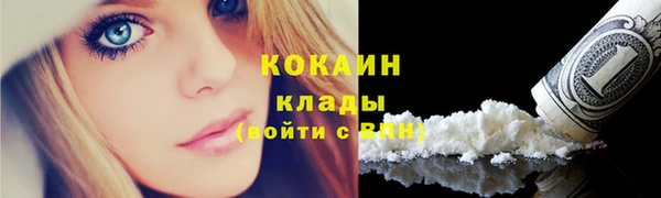прущие грибы Абдулино