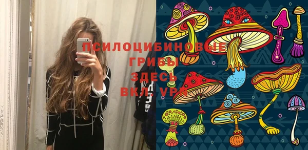 круглые Алзамай