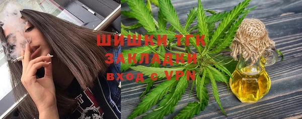 прущие грибы Абдулино