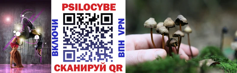 как найти   мориарти как зайти  Псилоцибиновые грибы мухоморы  Починок 